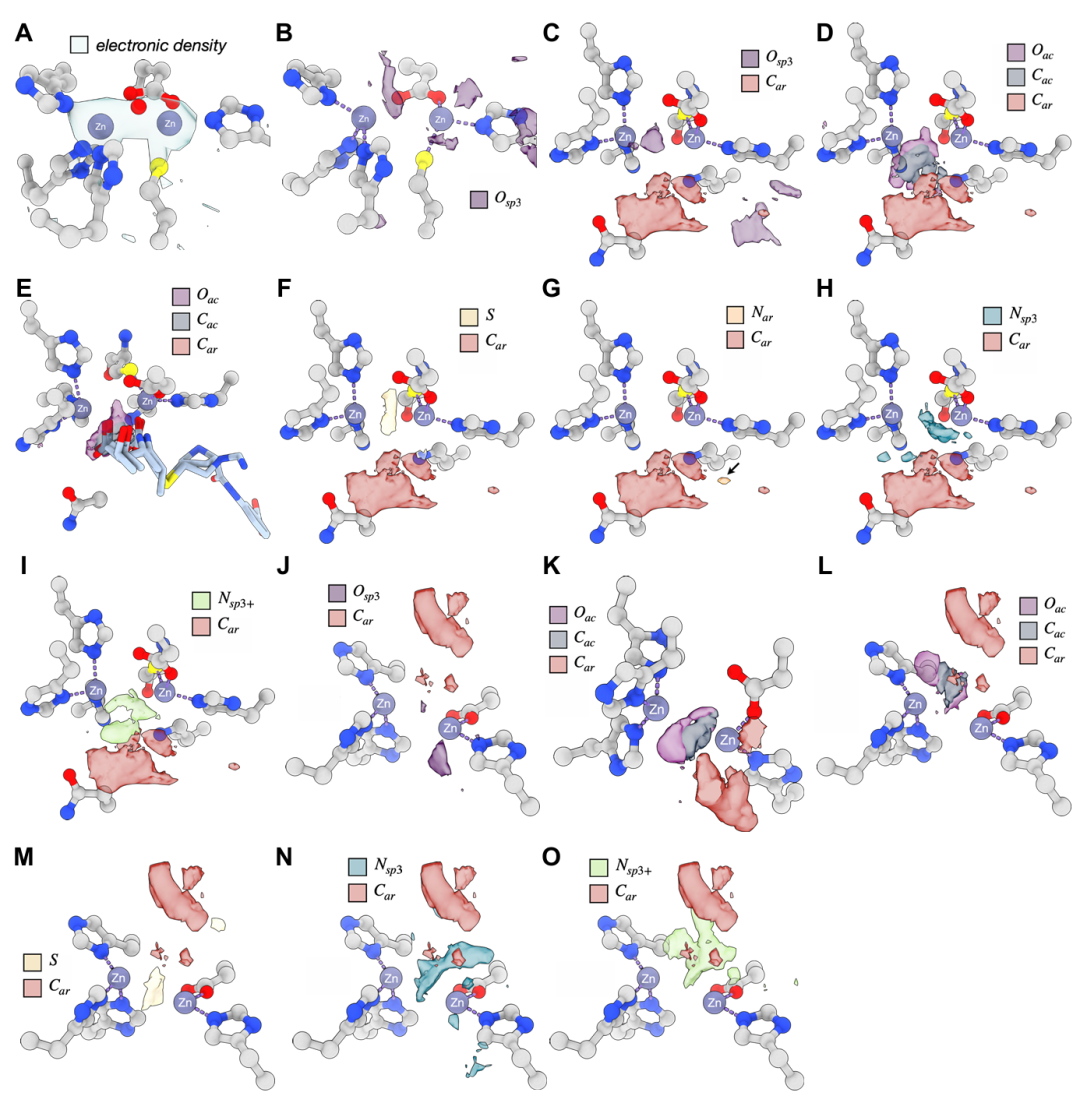 该图展示 TPM 对含锌金属酶 IMP13 的预测结果。A 为 apo-IMP13 的实验电子密度,显示锌离子间的羟基;B-C 中 sp³ 氧信号与锌离子间桥接氧精准重叠;D-E 预测的羧基信号与已知抑制剂的羧基高度吻合;F-G 预测硫原子靠近锌离子(符合锌配位化学),而芳香氮(Nar)无信号;H-I 显示铵基(Nsp³、Nsp³⁺)信号延伸至锌离子附近,虽不直接配位但与金属阳离子有相似路易斯酸性。这些结果在另一种结构模型中得到验证,体现模型对复杂过渡金属化学的捕捉能力。
