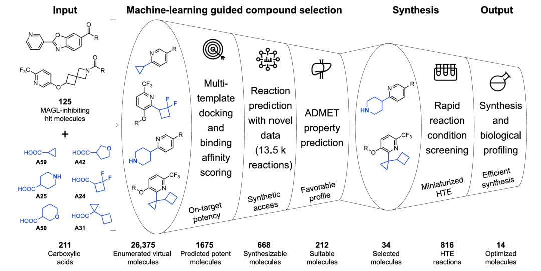 命中化合物优化工作流，展示从虚拟库枚举到最终优化分子的多级筛选过程