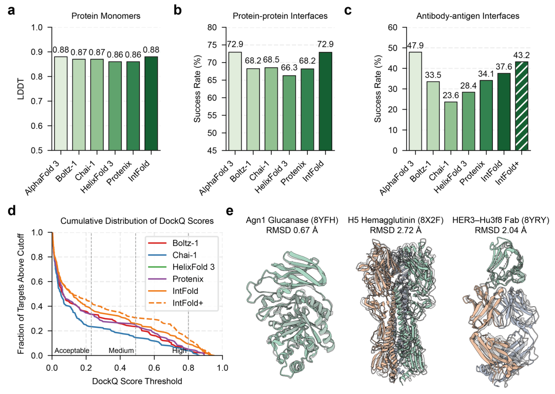 图2.(a)蛋白质单体预测的平均 LDDT 得分;(b)蛋白质 - 蛋白质界面预测的成功率;(c)抗体 - 抗原界面预测的成功率;(d)抗体 - 抗原复合物 DockQ 得分的累积分布,显示不同质量阈值下的预测比例;(e)2025 年新发布的蛋白质靶标预测示例,包括未解析的酵母酶(8YFH)、H5N1 血凝素复合物(8X2F)和新型 HER3 靶向抗体(8YRY)。
