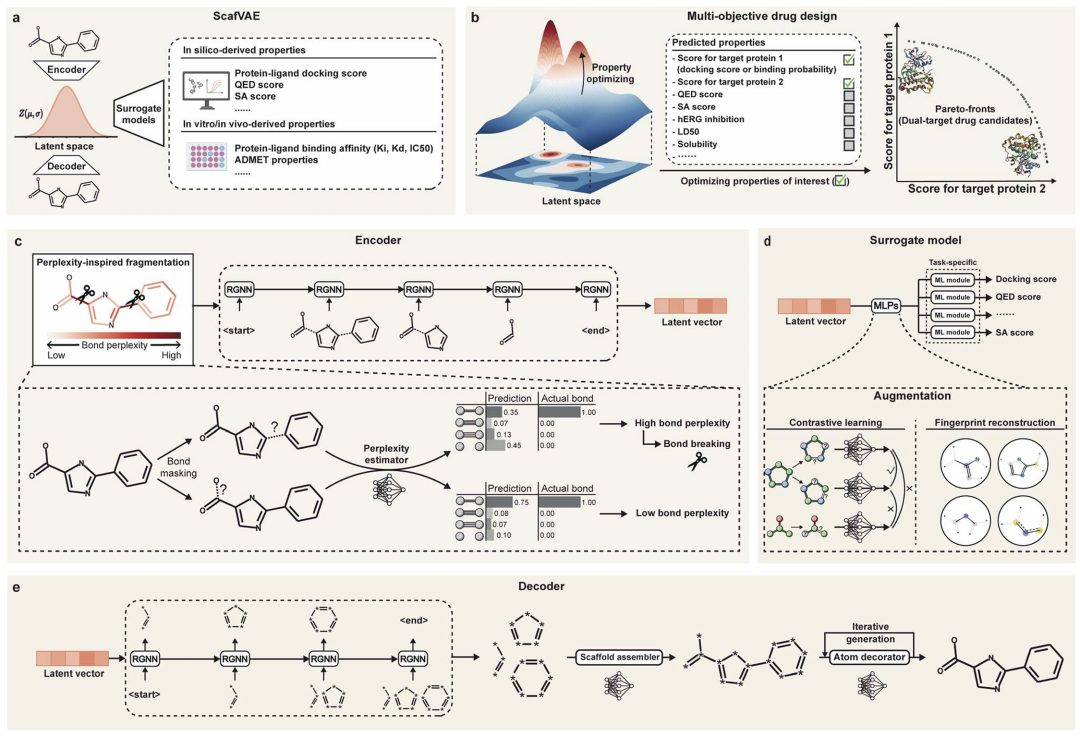 图1：ScafVAE的解码器首先生成键骨架，再通过原子装饰迭代生成最终分子。