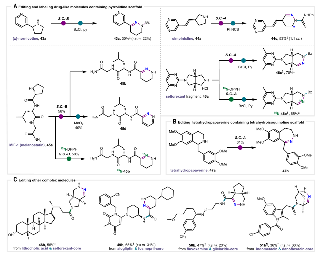 该图展示了生物活性化合物的编辑与标记，包含：（A）含吡咯烷骨架的类药分子的编辑与标记；（B）含四氢异喹啉骨架的四氢罂粟碱的编辑；（C）其他复杂分子的编辑。标注含义与图 3 类似，涉及标准条件、区域选择性比例、剩余起始原料等。
