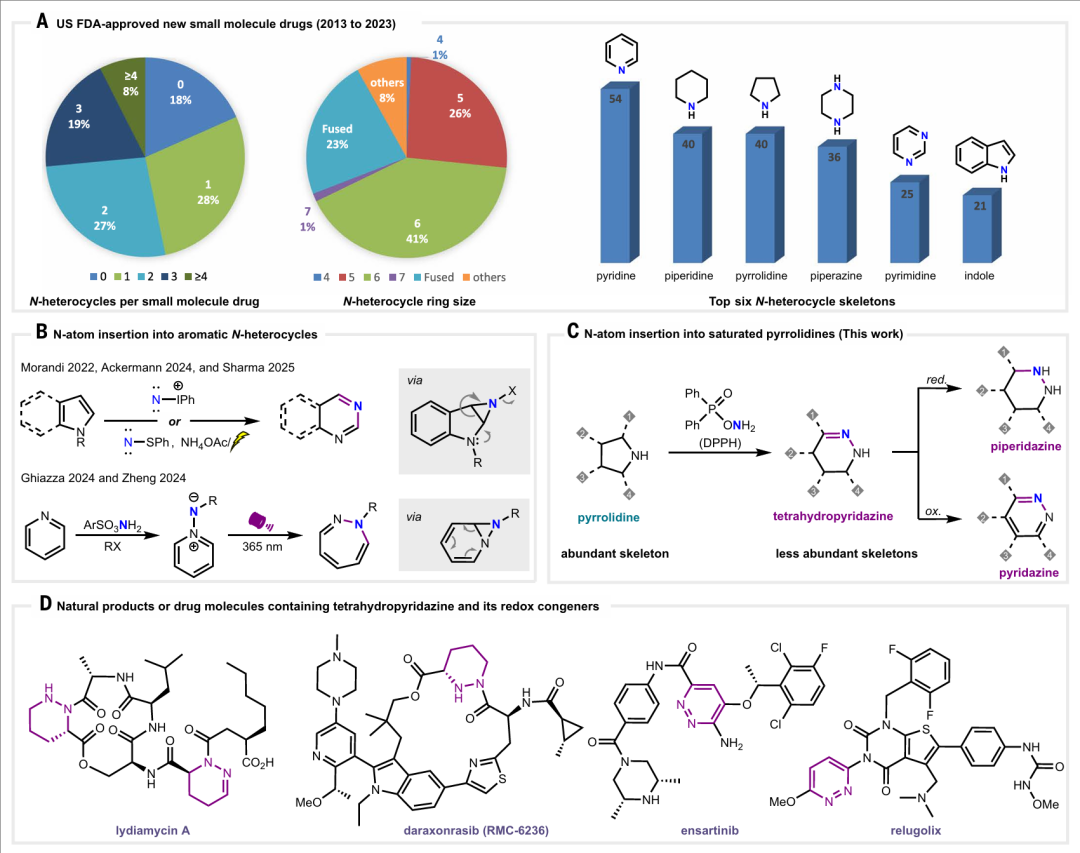 该图展示了含氮杂环中的氮原子插入策略，包含四个部分：（A）2013-2023 年美国 FDA 批准的新型小分子药物相关数据；（B）引用文献 29-33 中芳香族含氮杂环的氮原子插入反应；（C）本研究中饱和吡咯烷的氮原子插入反应；（D）含四氢哒嗪及其氧化还原衍生物的天然产物或药物分子