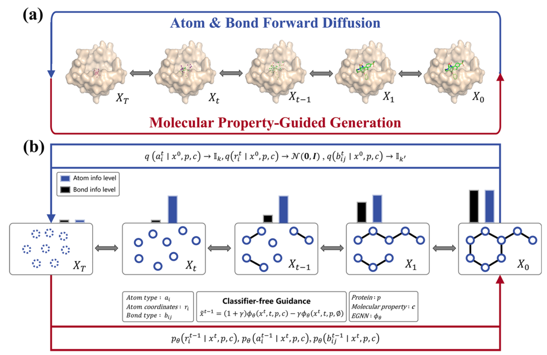 <b>DiffGui 框架概览。</b>该图分为 (a) 和 (b) 两个子图，整体展示了 DiffGui 模型的扩散与生成流程及结构细节。子图 (a) 呈现了 DiffGui 中原子与键的正向扩散过程（从初始状态 X₀逐步添加噪声至 Xᵀ），以及基于分子性质引导的反向生成过程，清晰体现了 “正向扰动 - 反向去噪” 的核心逻辑；子图 (b) 详细拆解了模型结构，包括原子与键的信息层级变化、分类器 - free 引导的数学表达式（通过线性组合条件与无条件模型得分估计实现性质引导），以及原子类型、键类型与原子坐标在反向过程中的联合预测分布，直观揭示了键扩散与性质引导如何协同作用于分子生成。