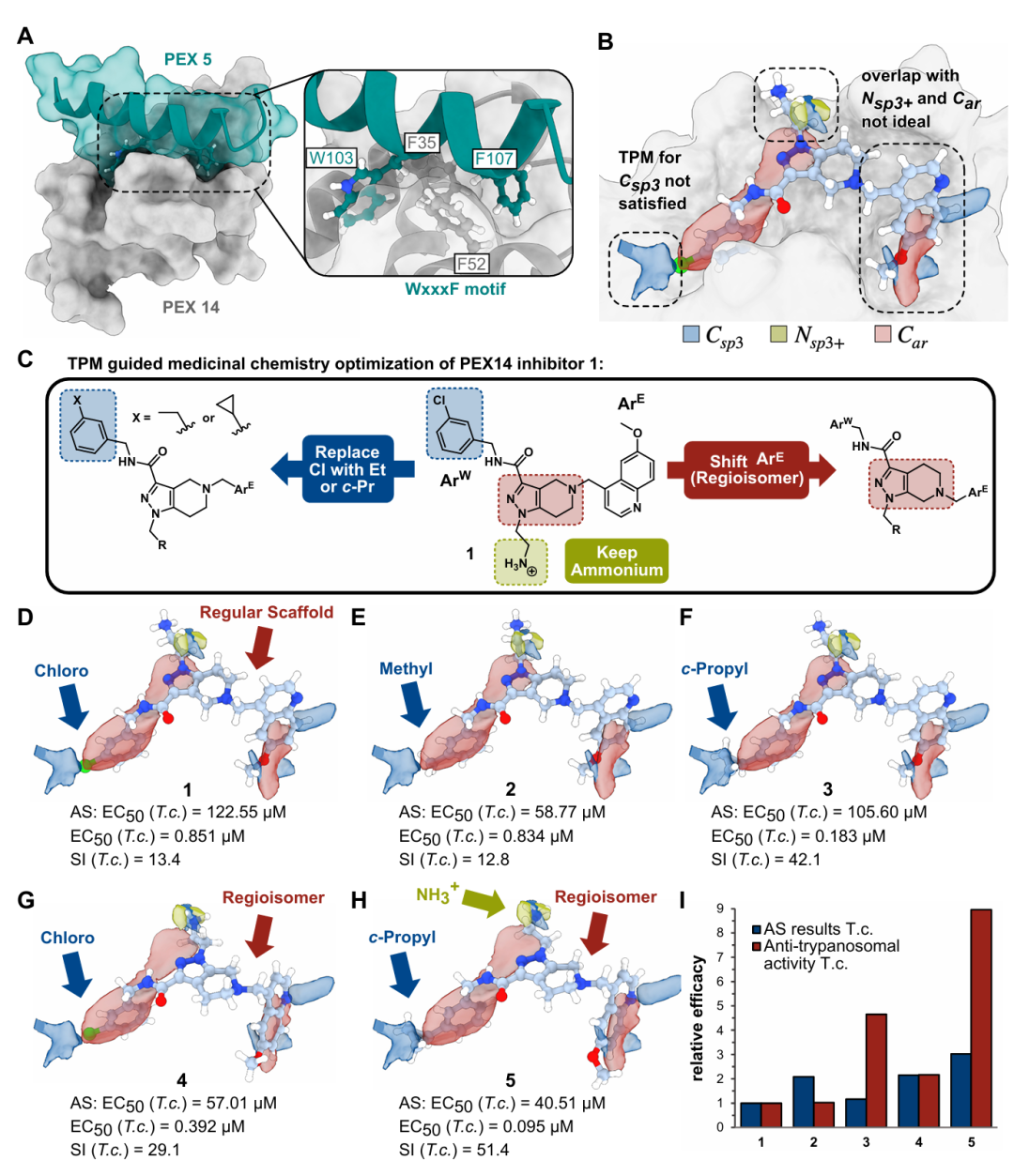 该图展示 TPM 指导难靶向蛋白相互作用抑制剂优化的过程。A 为 PEX14-PEX5 相互作用界面及关键残基;B 基于 5L87 晶体结构的 TPM 预测,提出三项修饰建议:引入烷基(匹配 Csp³ 区域)、调整芳香基团连接位置(优化与 Car 密度重叠)、添加乙基铵基(与 Glu34 和 Asp38 作用);C 为 medicinal chemistry 优化策略;D-I 展示化合物 1-5 的结构、 efficacy 及选择性,其中化合物 5 整合所有修饰,抗寄生虫活性提升近 10 倍,验证 TPM 的实用价值。