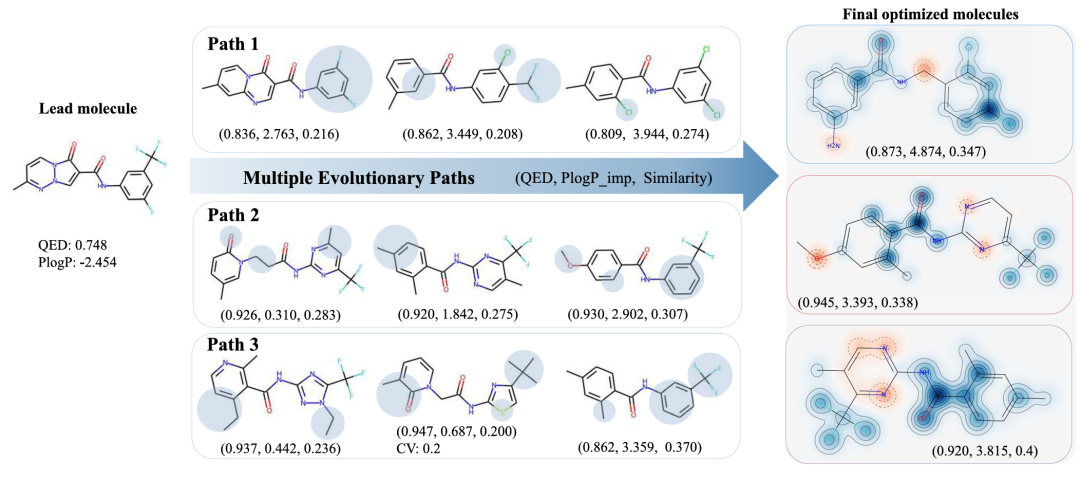CMOMO 针对一个随机选择的先导分子的优化分子形成的多条进化路径。图中三行展示了从先导分子到最终优化分子的进化路径，每行中的阴影区域突出显示了修饰的亚结构，最后一列的三个塔尼莫相似性图展示了最终优化分子，其中与先导分子相似和不相似的区域分别用蓝色和红色表示。