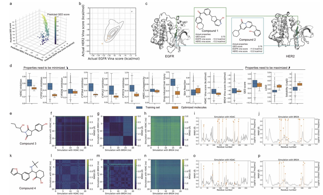 图3：多目标优化生成的分子（上）及分子动力学模拟验证其与靶蛋白的稳定结合（下）