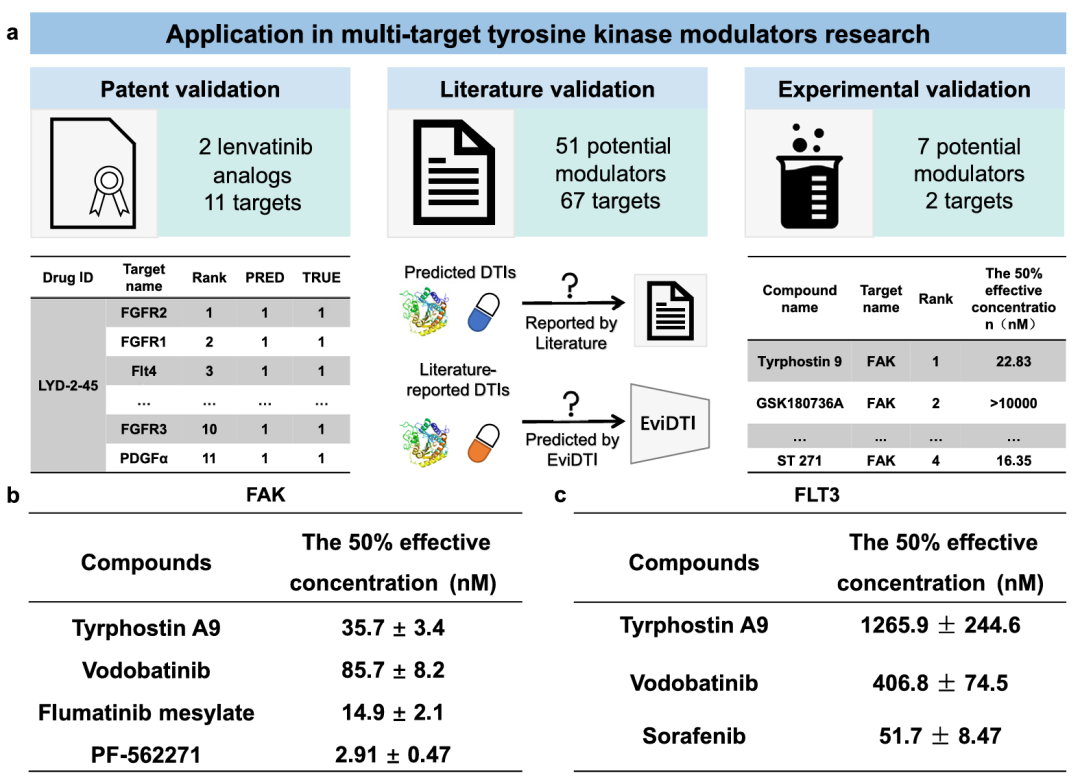模型在多靶点酪氨酸激酶调节剂发现中的应用。该图展示了 EviDTI 在酪氨酸激酶调节剂研究中的验证与应用。(a)为验证框架,包括专利数据、文献数据验证及针对 FAK 和 FLT3 的实验验证;(b)显示 FAK 激酶实验中,Tyrphostin 9、Vodobatinib、甲磺酸氟马替尼和阳性对照 PF-562271 的半数有效浓度;(c)展示 FLT3 激酶实验中,Vodobatinib、Tyrphostin 9 和阳性对照索拉非尼的半数有效浓度,验证了 EviDTI 预测的新型调节剂的活性。