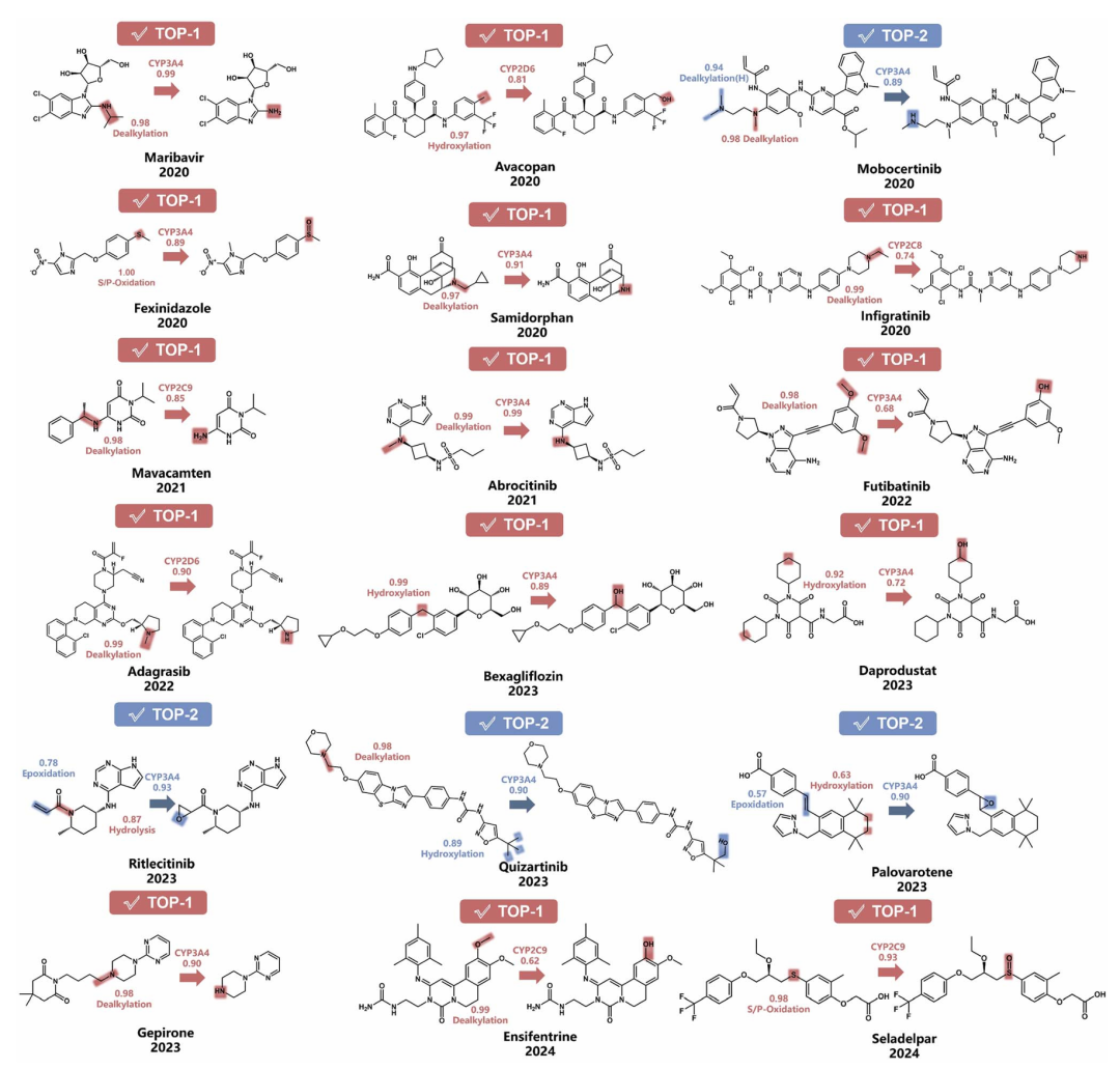 <b>2020-2024 年 FDA 批准口服药物的 DeepMetab 预测流程。</b>展示了 DeepMetab 对 18 种近期 FDA 批准新药的代谢预测全流程：图示中明确标注了每种药物的预测代谢酶及对应评分（如 CYP3A4、CYP2D6 评分 0.81-1.00，CYP2C8 介导的英格拉替尼代谢评分 0.74），用浅色高亮标记预测的代谢位点，同时注明预测概率与所用代谢反应规则类型（如脱烷基化、羟基化）。结果显示，14 种药物的主要代谢产物（TOP-1）预测准确（准确率 78%），剩余 4 种（莫博替尼、利特昔替尼等）的正确产物为 TOP-2，整体 TOP-2 准确率 100%。该图不仅验证了模型对新结构药物的泛化能力，也为临床前代谢研究提供了清晰的预测结果呈现范式。