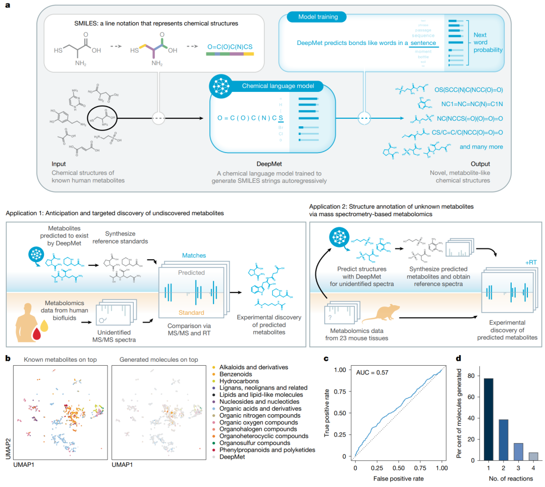 DeepMet 的整体框架。模型以已知人类代谢物的 SMILES 表示为训练数据，学习代谢物样化学空间，并服务于两类任务：一是预测可能存在但尚未被系统识别的代谢物，二是结合 MS/MS 和保留时间等信息对未知代谢峰进行结构注释