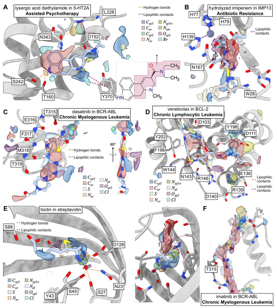 该图展示了 TPM 在多种受体 - 配体复合物中的预测效果。A 为麦角酸二乙酰胺与 5-HT2A 受体结合,TPM 的芳香云与配体芳香基团重叠,准确反映不参与相互作用的酰胺基团;B 为水解亚胺培南与 IMP13 结合,模型虽未接触锌原子训练数据,却能预测羧基以配位 Zn²⁺;C 为达沙替尼与 BCR-ABL1 结合,芳香云与配体芳香基团匹配,且识别氢键供体 / 受体;D 为维奈托克与 BCL-2 结合,建议添加铵基与天冬酰胺作用;E 为生物素与链霉亲和素结合,预测的脂肪碳、酰胺基和硫原子与配体吻合;F 为伊马替尼与 BCR-ABL1 结合,准确捕捉配体芳香范围和氢键特征。这些示例验证了模型的通用性。