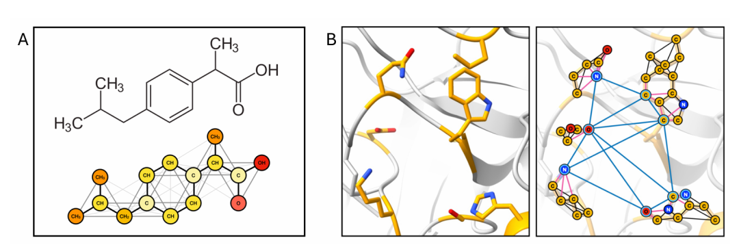 图1. 化合物和蛋白质口袋的图结构构建示意图，左侧（A）显示小分子的共价键连接图，右侧（B）显示蛋白质口袋的表面原子及邻接关系