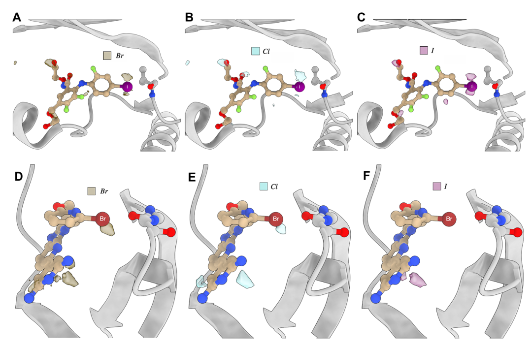 图 S3:TPM 中卤素信号的特异性。该图展示 TPM 对卤素原子的预测特异性。A-C 为 MEK 激酶与含卤素抑制剂结合,溴、氯、碘信号部分重叠但碘有特异性;D-F 为 DYRK1A 与含卤素配体结合,溴与氯信号可互换,碘信号则不同。体现模型对卤素化学性质差异的识别。
