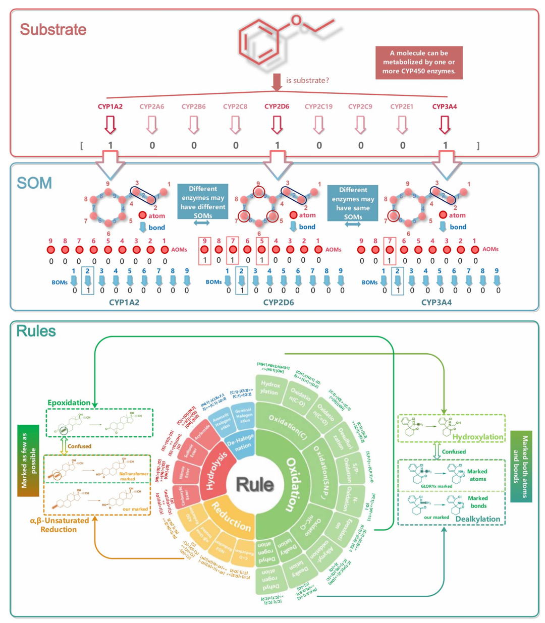 <b>图1. 底物与代谢位点（SOM）数据集整理及代谢反应规则汇编工作流程。</b>系统展示了底物数据集、SOM 数据集的构建流程，以及代谢反应规则的分类体系。在底物处理部分，图示了不同 CYP450 亚型对底物的代谢情况，并将每种分子的代谢酶信息编码为二进制向量；SOM 标注环节则通过原子级（AOM）与键级（BOM）双重标注，区分不同反应类型的代谢位点（如用 AOM 标注羟基化反应，用 BOM 标注脱烷基化反应），解决传统标注的歧义问题。反应规则部分以饼图呈现了四大类反应（氧化、还原、水解、脱卤）的分类及占比，且规则数量较现有工具 BioTransformer3.0 增加约 25%，整体流程确保了数据集的完整性与规则的机制一致性。