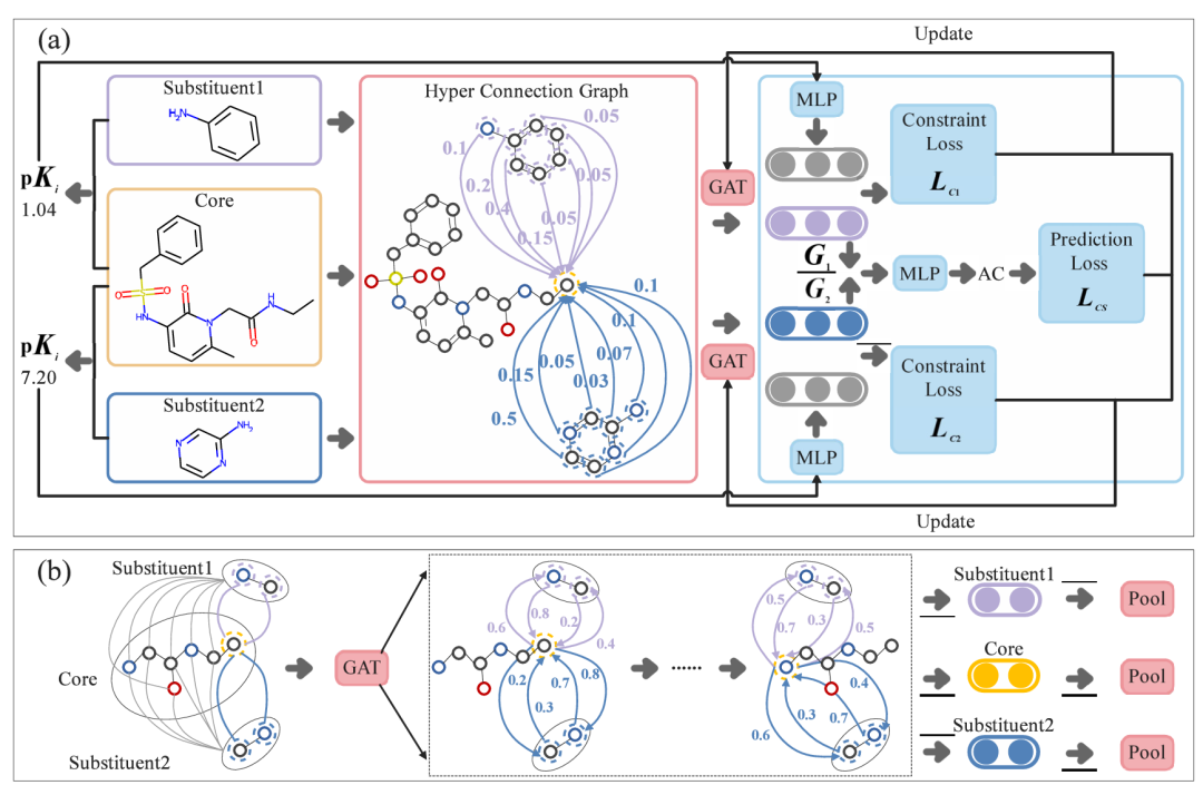 （a）化合物的核心和两个取代基组成 MMP，整合为超连接图（边表示核心与各取代基的连接强度或交互权重），结合约束损失（基于 pKi 值）和预测损失训练模型。（b）描述基于超连接图的建模过程，核心和两个取代基为关键组件，通过图注意力网络（GAT）和池化操作处理。