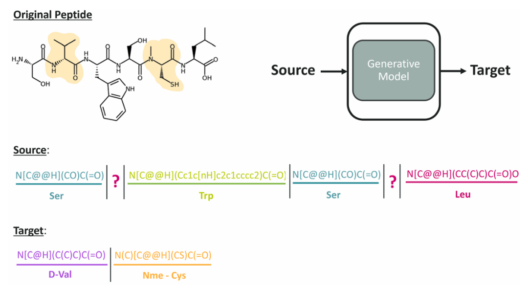 图 3:文本填充任务的源 - 目标对示例。图中展示了一个 6 肽的源 - 目标对,用于说明模型的预训练任务。源序列是掩盖了 2 号和 5 号位置氨基酸的肽,目标序列则是这两个位置对应的填充氨基酸(D - 缬氨酸和甲基化半胱氨酸)。模型通过学习此类对,掌握生成符合化学规则的氨基酸以填补肽中 masked 位置的能力,同时理解肽的上下文复杂性。