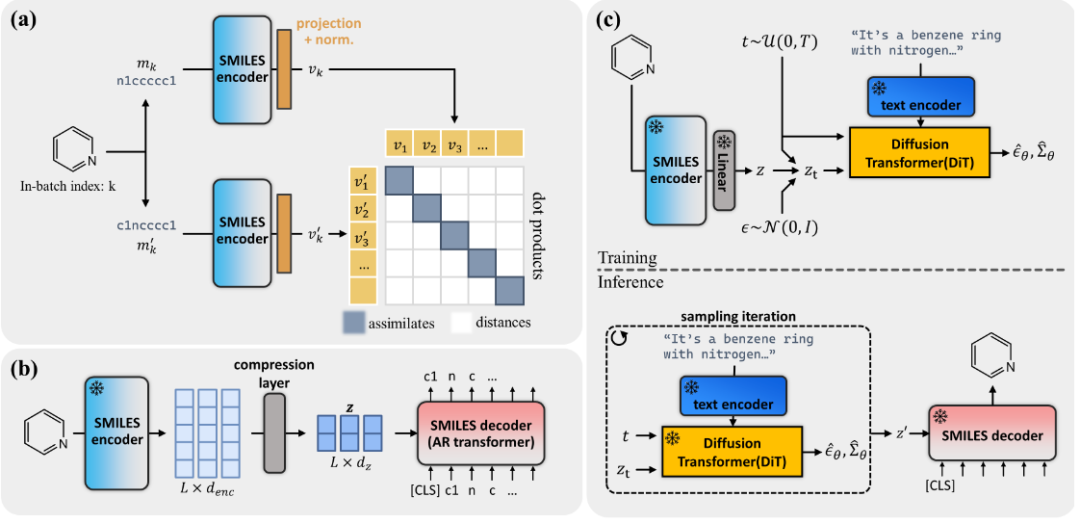 LDMol 整体架构图 - 展示对比学习训练编码器、自回归解码器训练及潜扩散训练三个阶段