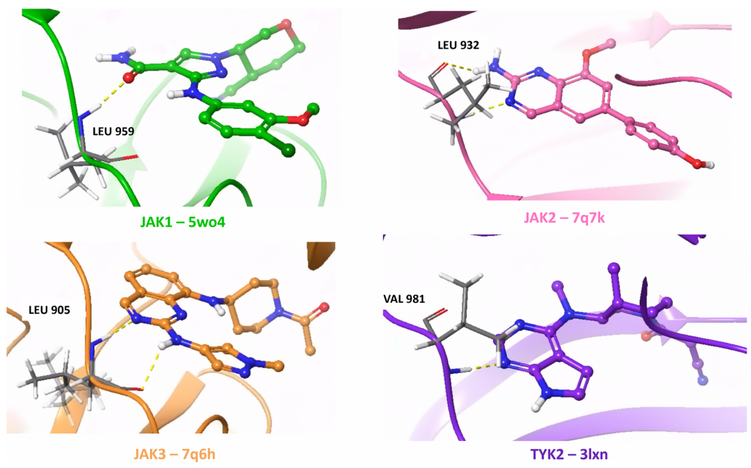 图中呈现了 JAK1（5WO4）、JAK2（7Q7K）、JAK3（7Q6H）和 TYK2（3LXN）的晶体结构，突出显示了铰链区的关键相互作用残基（如 Leu932、Val981 等）。这些结构用于测试分子生成器对泛活性激酶靶点的相互作用重现能力，尤其是铰链区氢键的保留情况，是评估模型特异性的重要依据。