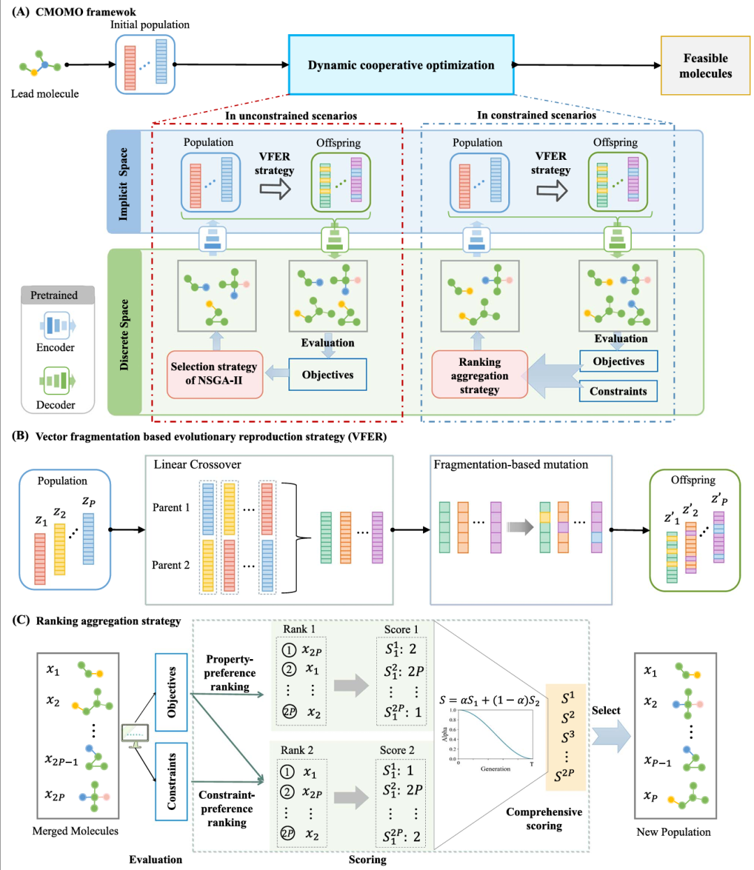 CMOMO 的说明图。（A）CMOMO 首先为先导分子生成包含 P 个分子的初始种群，然后执行动态协同优化，最终得到一组可行分子（具有理想的分子属性且符合类药约束）。（B）VFER 策略，该策略通过线性交叉和基于碎片化的突变操作生成有前景的子代分子。（C）排名聚合策略，该策略动态聚合分别按属性和约束排序的分子排名。