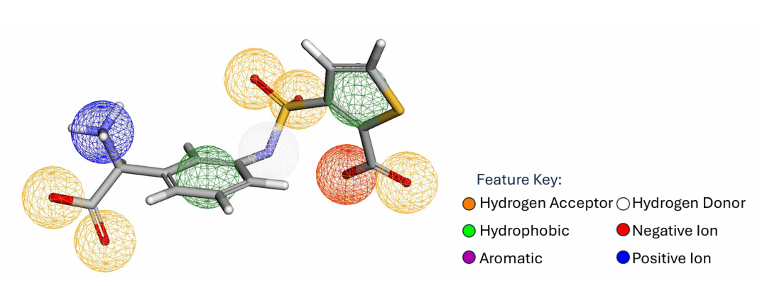 这是由 Pharmit 识别的、与 AmpC-β- 内酰胺酶（PDB 1L2S）结合的配体的参考药效团。图中球体颜色代表不同特征类型，蓝色为正离子、绿色为疏水基团、橙色为氢受体、红色为负离子、紫色为芳香族、白色为氢供体，直观呈现了配体与蛋白质相互作用的关键特征。