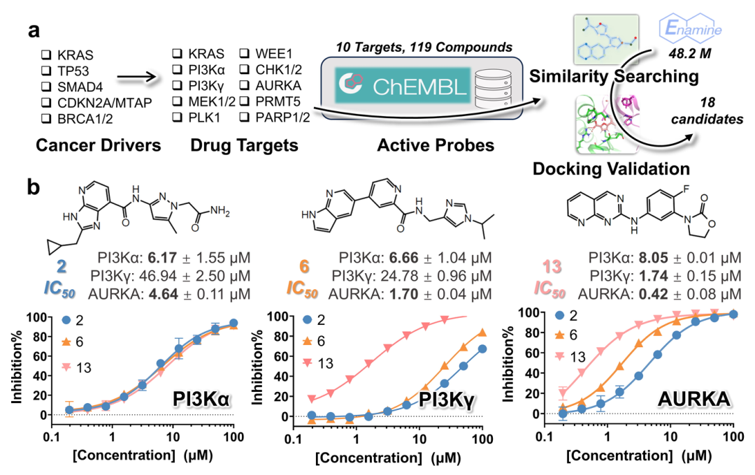 使用 Ouroboros 发现新型多靶点抑制剂