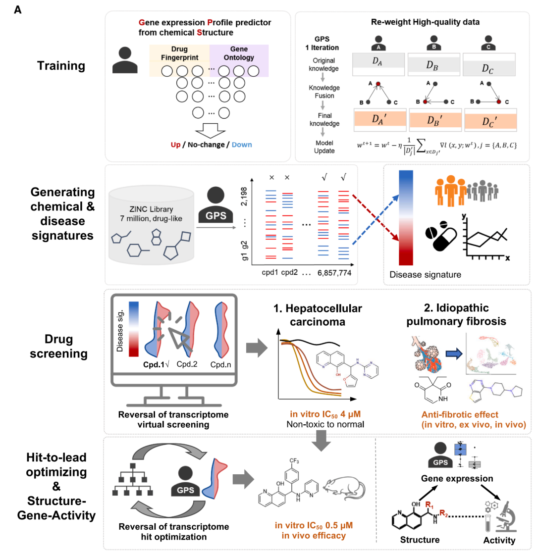 GPS 的 Robust Collaborative Learning(RCL)训练框架示意。多个对等神经网络协同学习,通过迭代评估彼此的预测一致性来识别高质量与低质量样本,并对高质量数据赋予更大的训练权重,而非简单丢弃噪声样本。