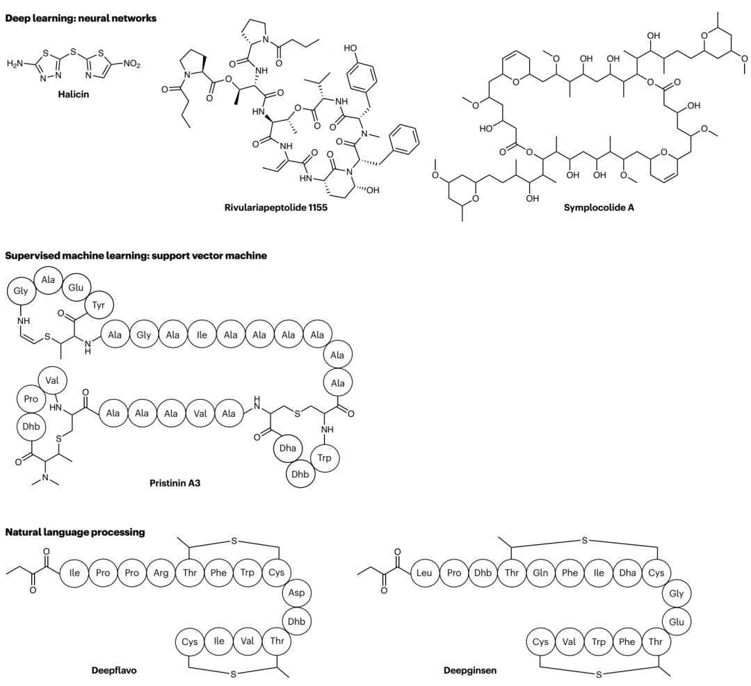 用人工智能方法发现的代表性化合物。合成化合物 halicin 及相关分子，由一个训练用于从化学结构预测抗生素活性的深度神经网络发现；rivulariapeptolide 与 symplocolide A 的结构，是用卷积神经网络从复杂微生物提取物中预测出来的；pristinin A3 由一个挖掘泛基因组、在某属附属基因组的类操纵子结构中优先筛选新型 RiPP 前体的支持向量机发现；deepflavo 和 deepginsen 则部分借助自然语言处理，从基因组预测其 RiPP 前体及切割模式而被发现。