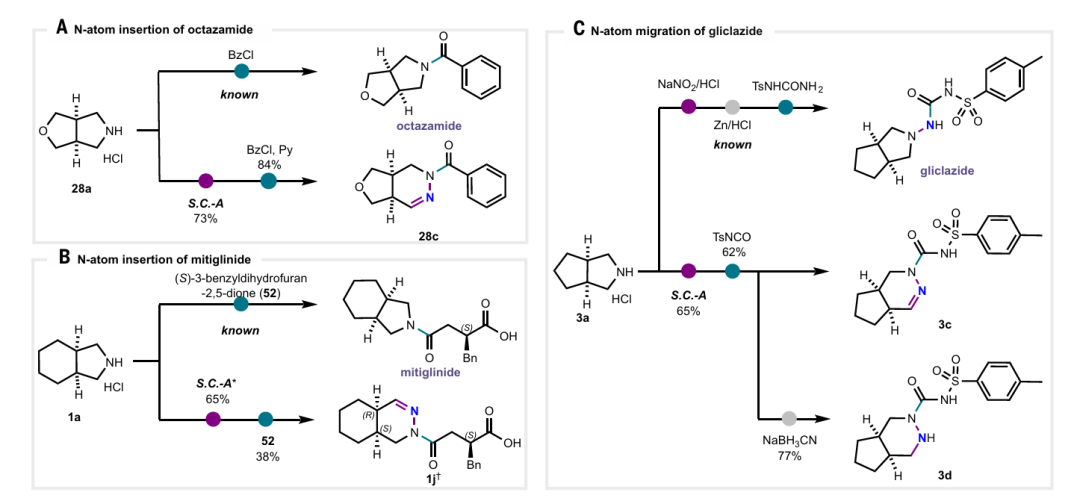 该图体现了生物活性化合物的间接编辑，包括：（A）奥他酰胺的氮原子插入；（B）米格列奈的氮原子插入；（C）格列齐特的氮原子迁移。标注了标准条件 A 的参数及绝对构型的评估方法。