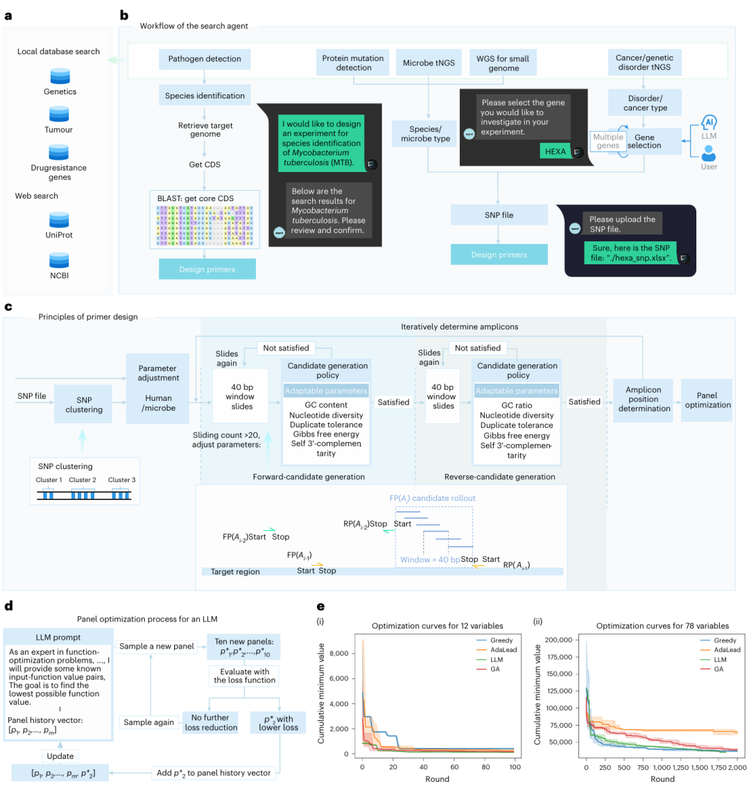 a. 用户的搜索意图被引导至相关资源。b. 搜索智能体的五种搜索意图及其与引物设计智能体的下游交互路径。c. 引物智能体的设计流程,采用 “候选扩展” 方法生成满足要求的引物。d. 大语言模型(LLM)的面板优化过程。e. 在(i)12 重和(ii)78 重设计实验中,LLM 优化器、经典贪心算法、AdaLead 和遗传算法(GA)的优化曲线对比。每种方法重复三次,曲线代表三次实验的平均值,阴影区域表示标准差。