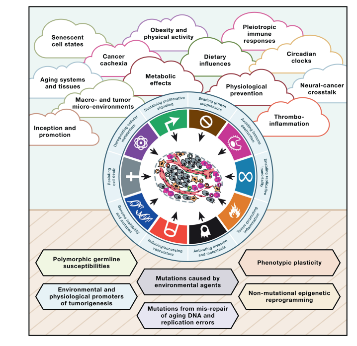 “复杂性的‘云层’”正逼近癌症生物学和癌症医学的前沿。