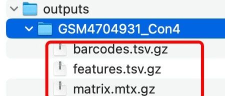 使用Seurat的v5来读取多个不是10x标准文件的单细胞项目