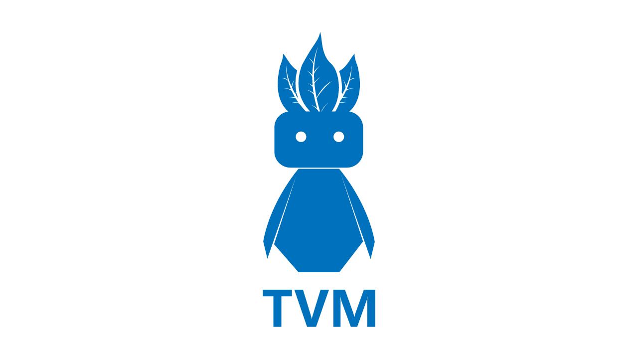 TVM虚拟机应用实例