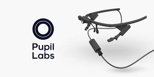 Pupil Labs