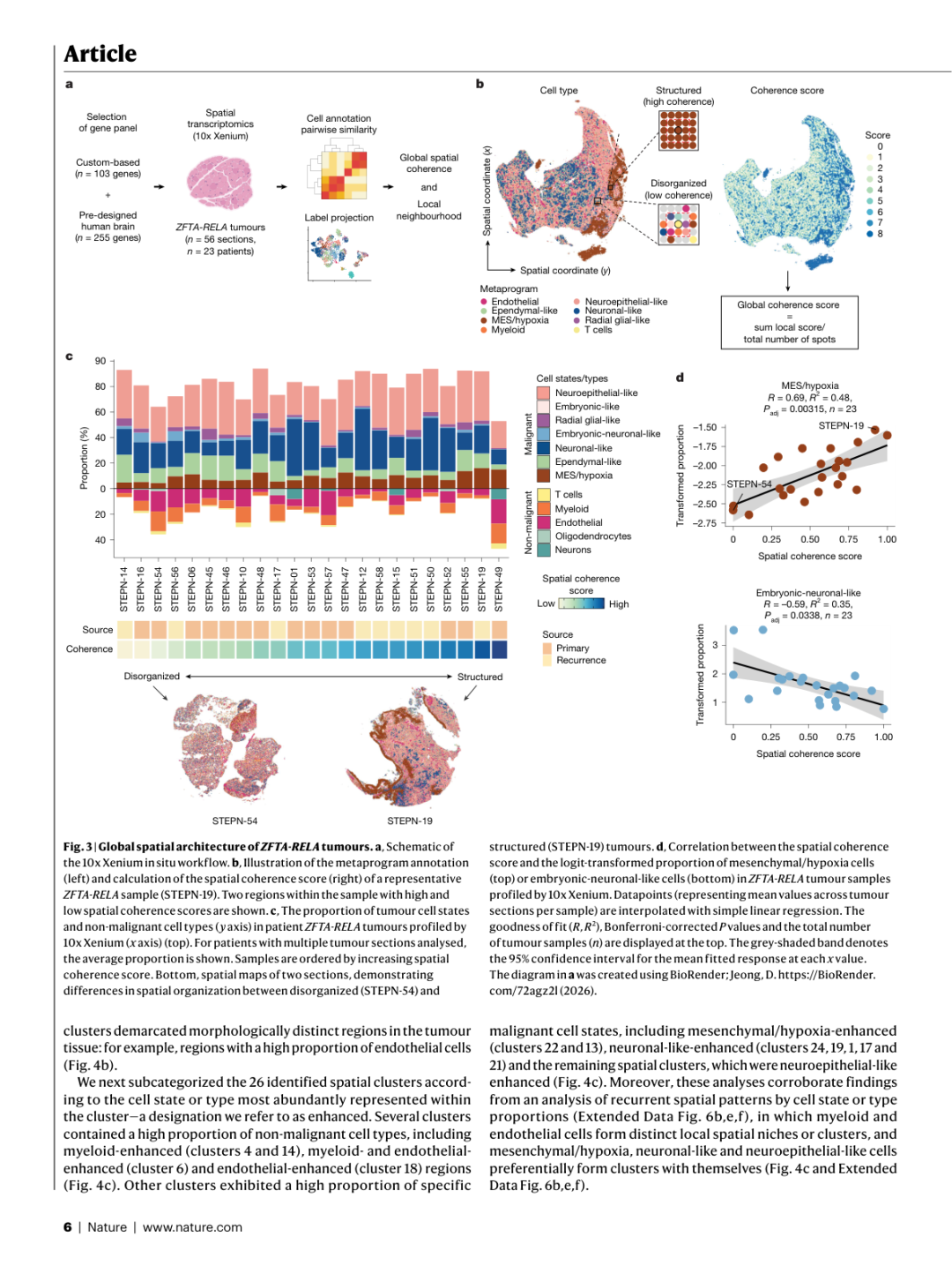 Figure 3: ZFTA-RELA肿瘤的全局空间架构