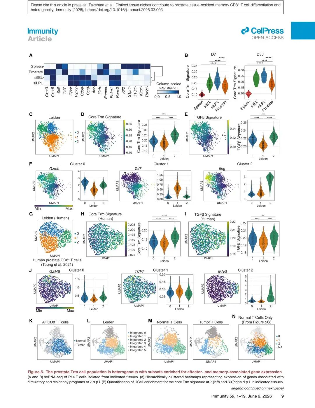 Figure 5: 前列腺Trm的scRNA-seq异质性分析