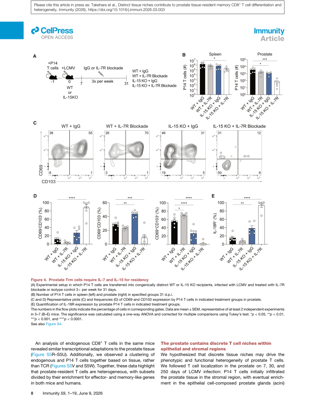 Figure 4: IL-7/IL-15对前列腺Trm的维持
