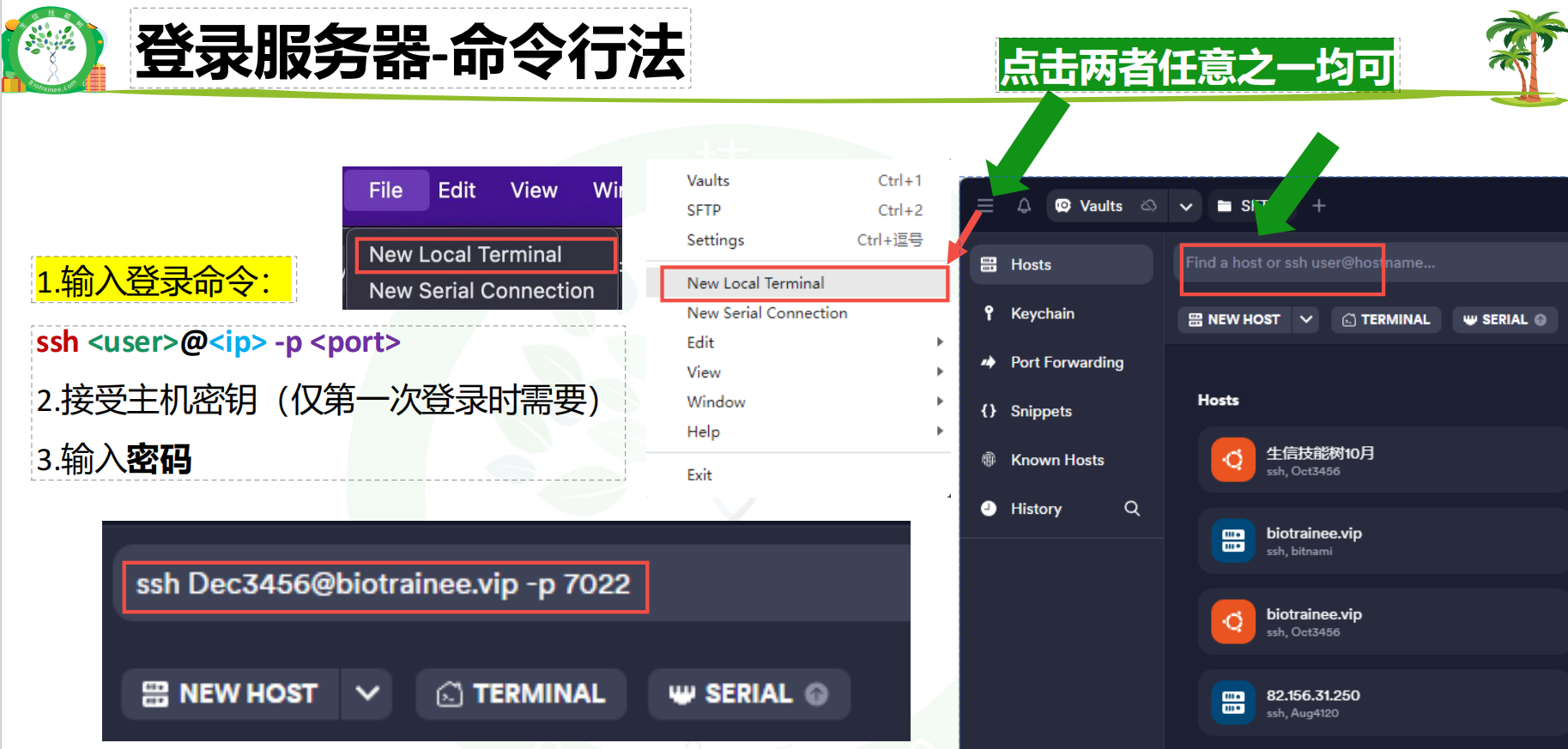 命令行法