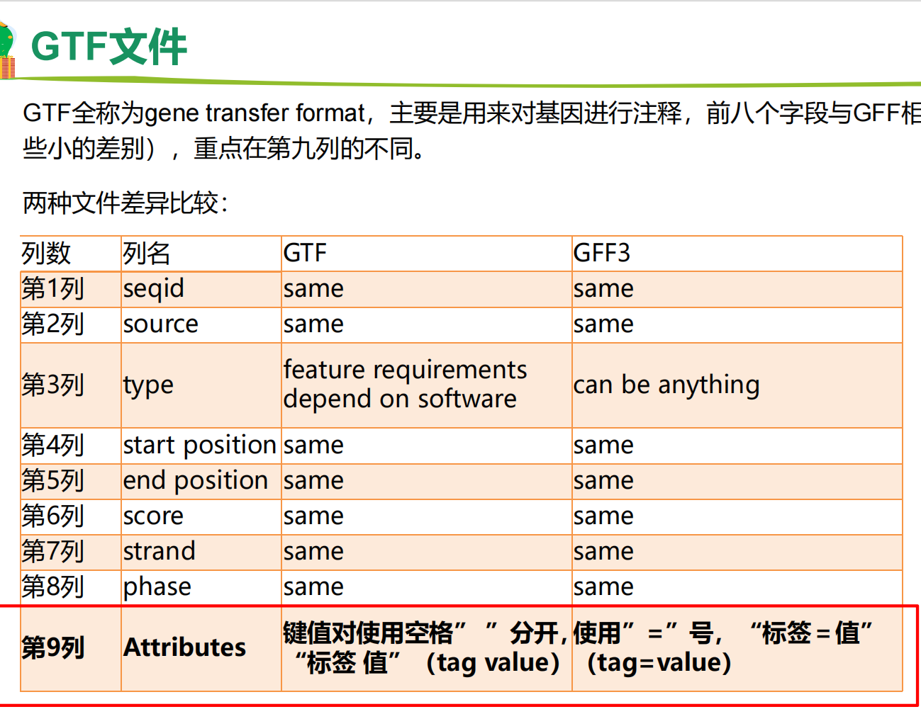 GFF和GTF