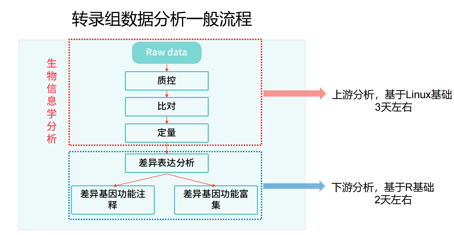 转录组数据分析一般流程