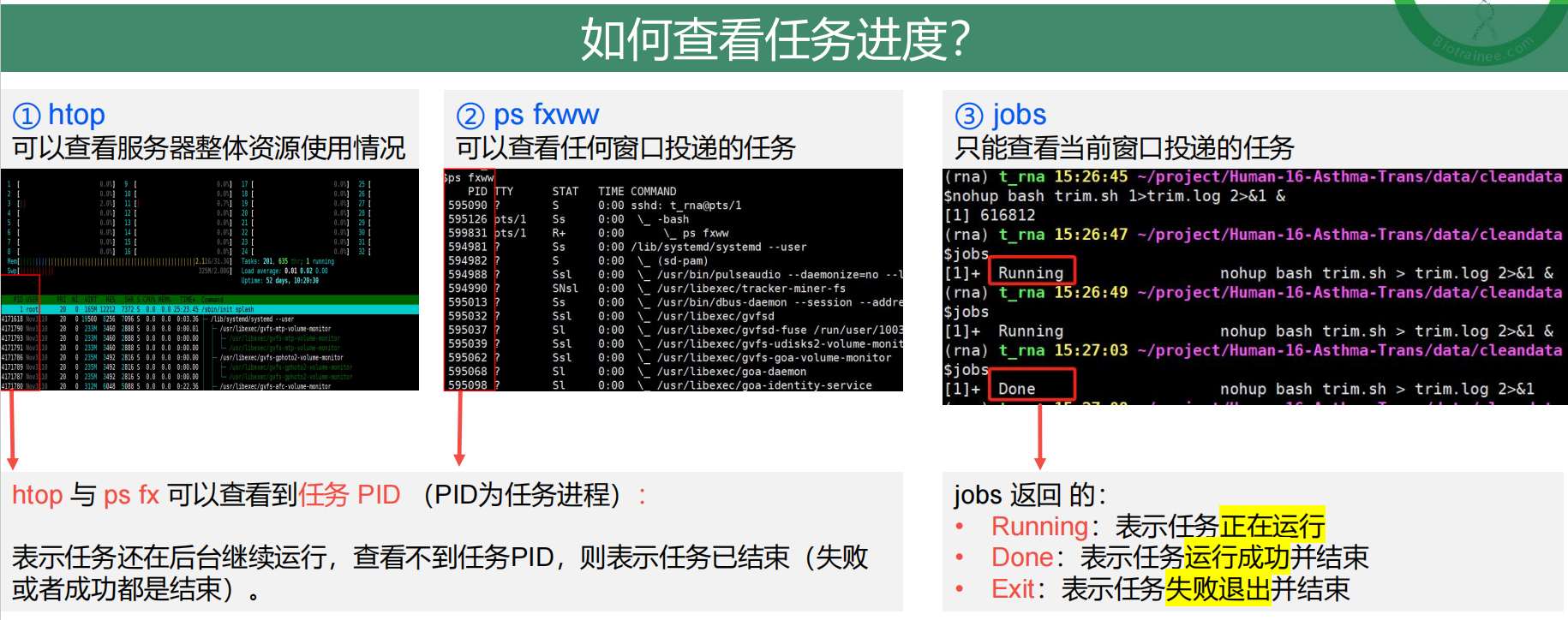 如何查看任务进度