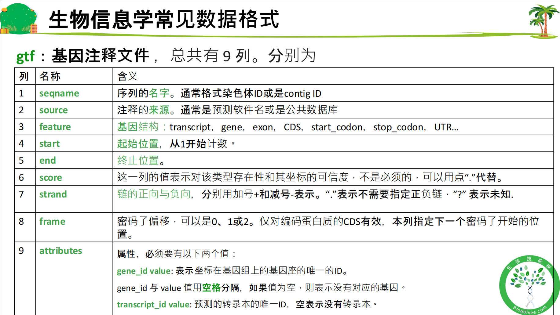 gtf：基因注释文件