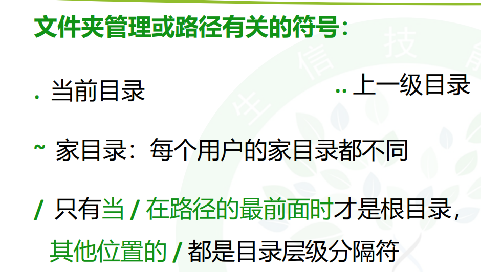 文件结构