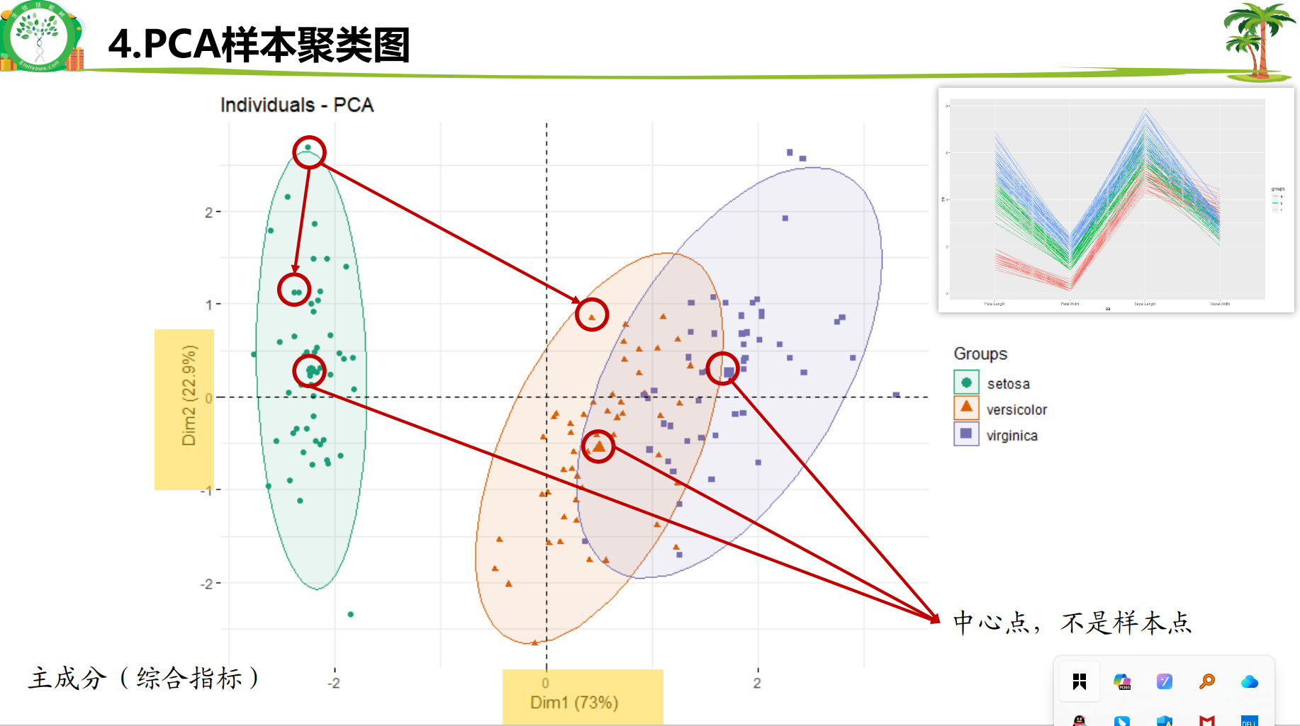 主成分分析图怎么看