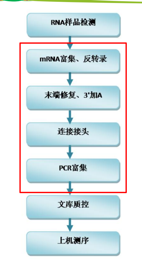 流程图