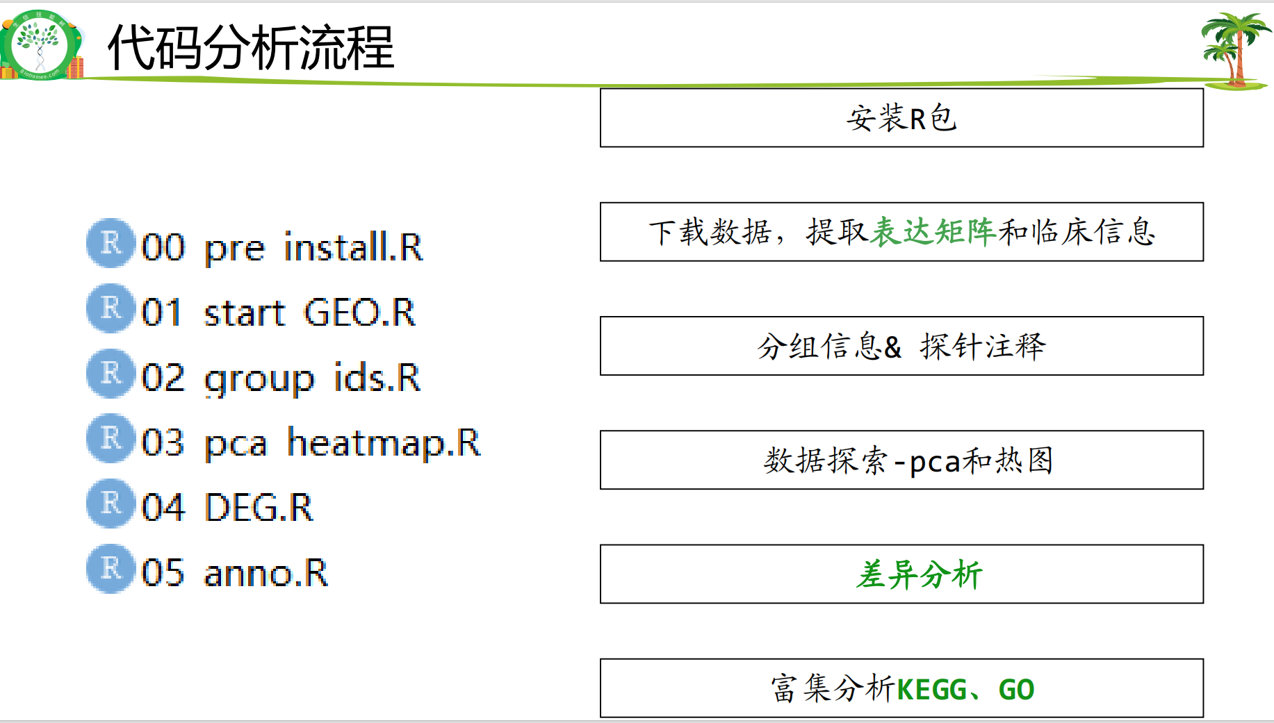 代码分析流程