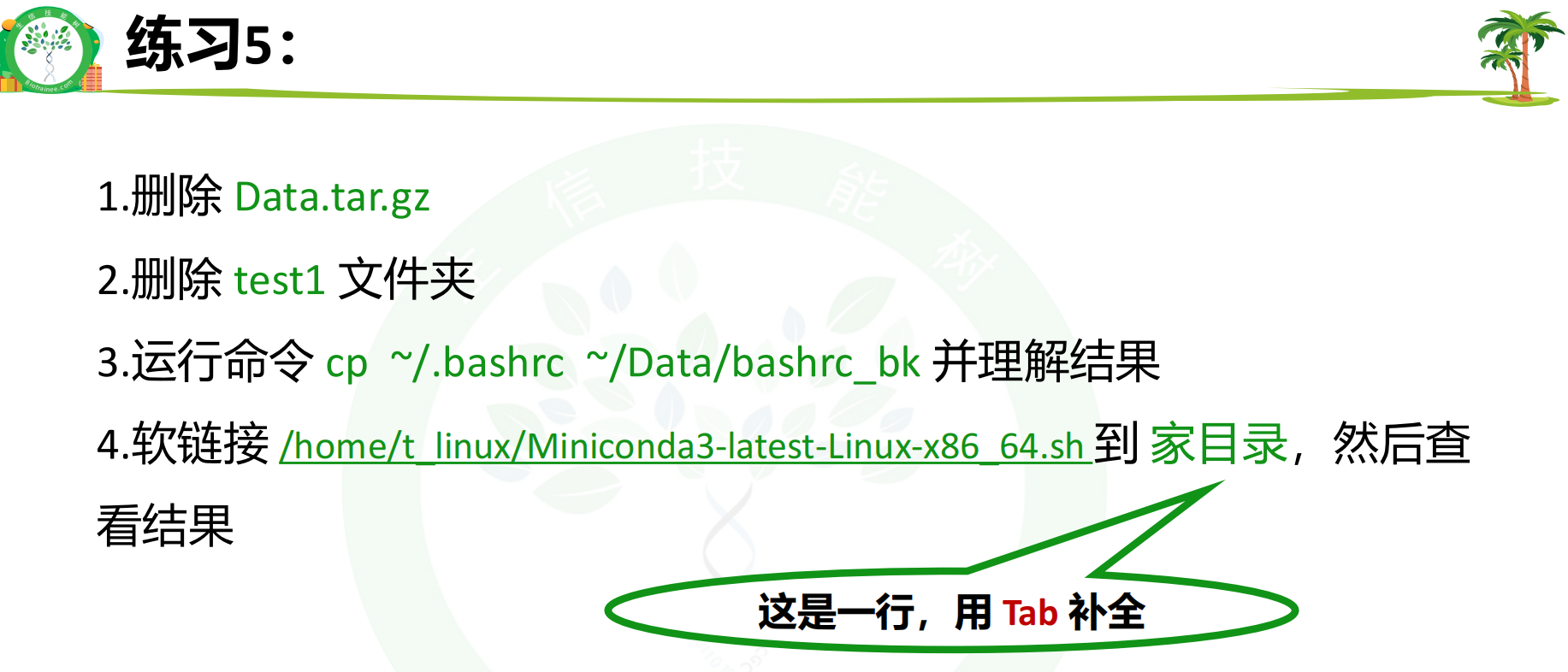 练习5