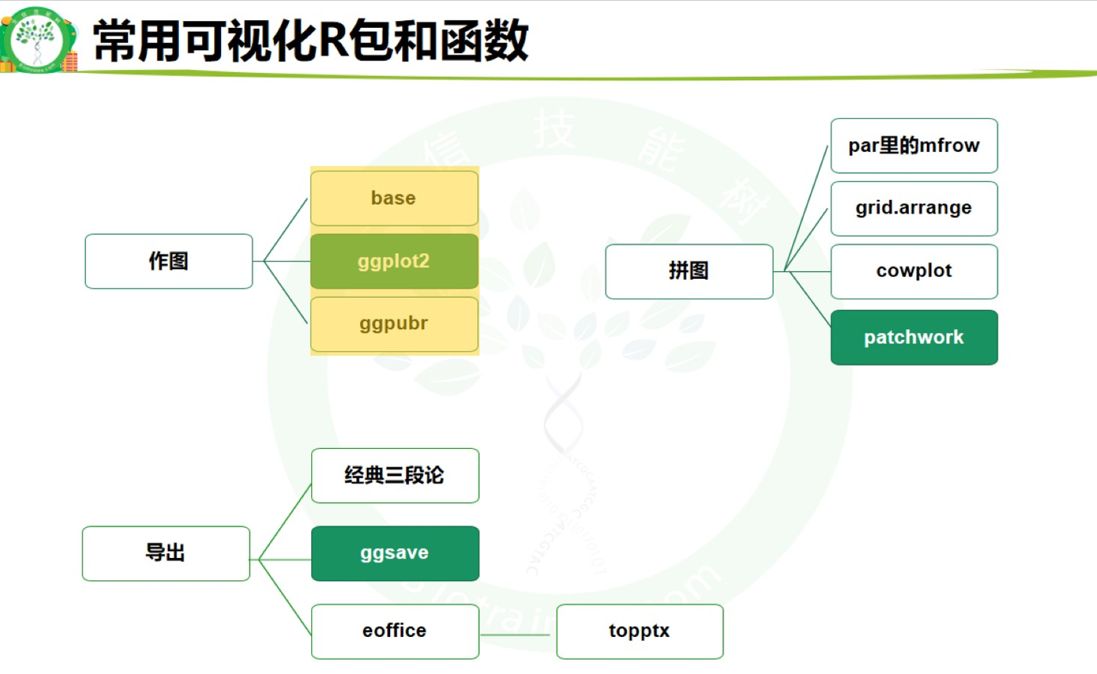 常见可视化R包和函数