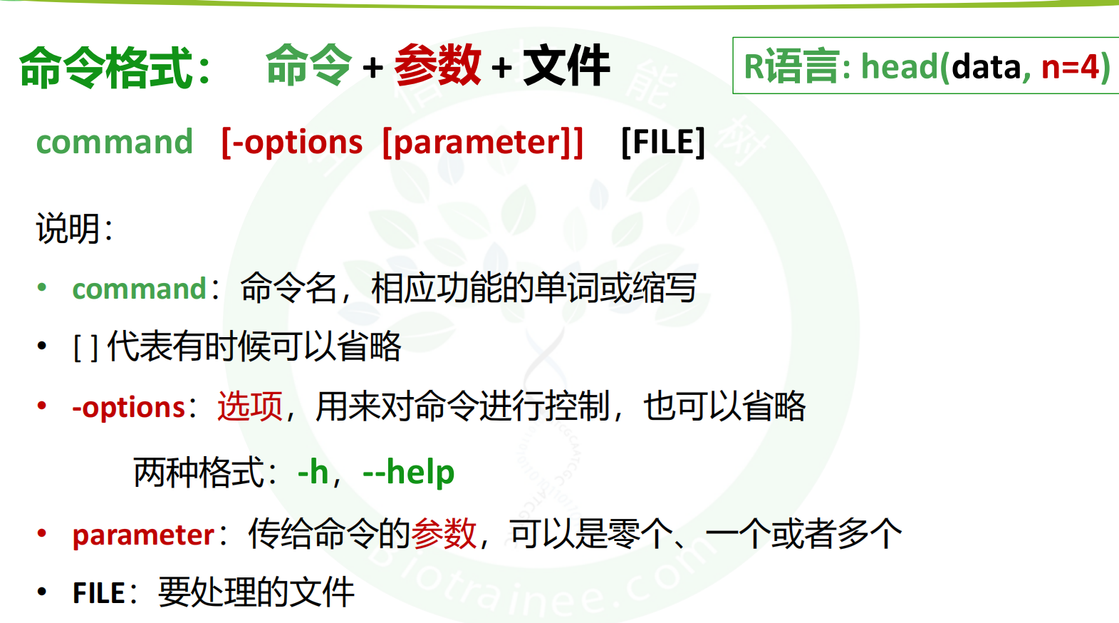 命令格式