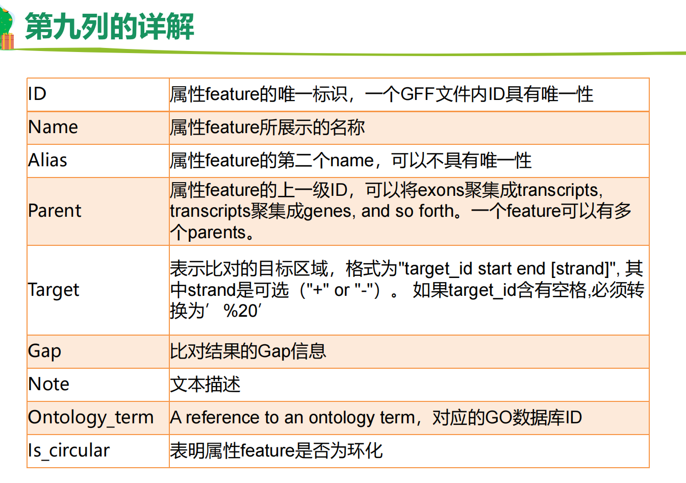 第九列详解