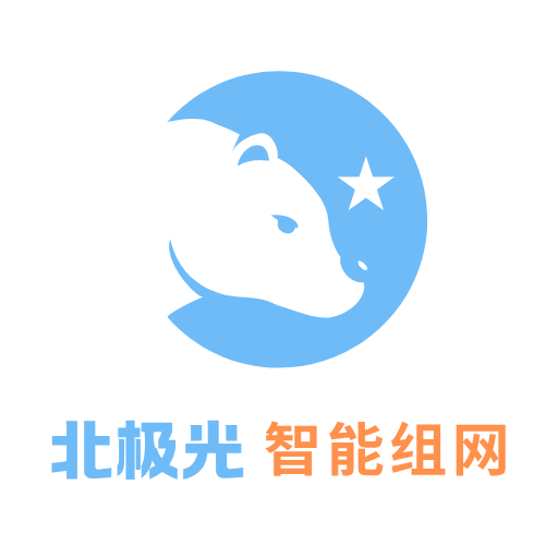 智慧城市网络架构升级与SD-WAN技术应用实践