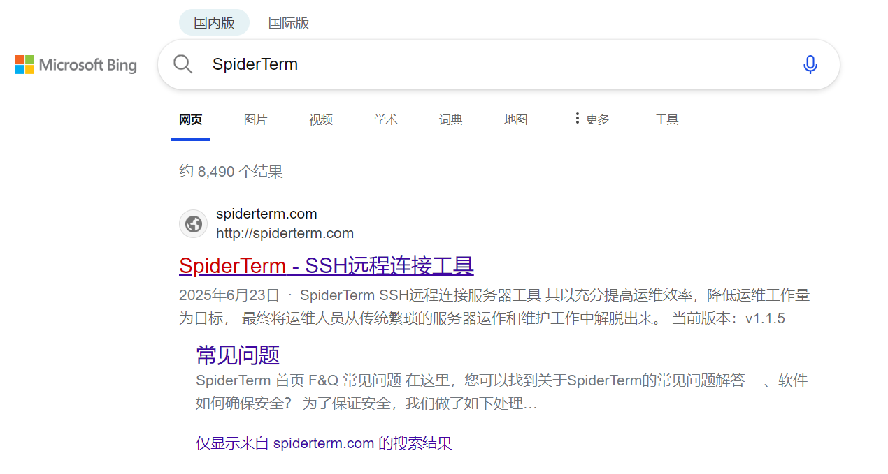 bing 检索 SpiderTerm 